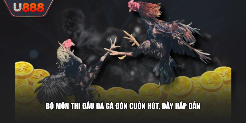 Trải Nghiệm Đá Gà Đòn Những Trận Đấu Đỉnh Cao Nảy Lửa 2 Bộ môn thi đấu đá gà đòn cuốn hút, đầy hấp dẫn